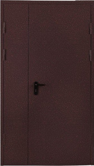 РПК Входная дверь Техническая двупольная, арт. 0005775 - фото №1